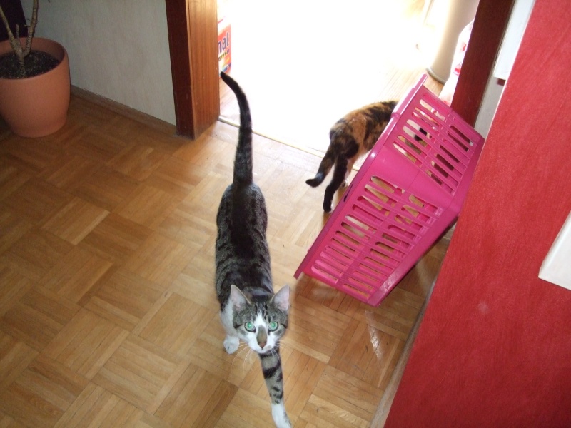 Ostern 2007 Orleshausen 049 